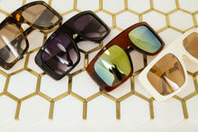 Load image into Gallery viewer, Light Shields