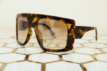 Load image into Gallery viewer, Light Shields